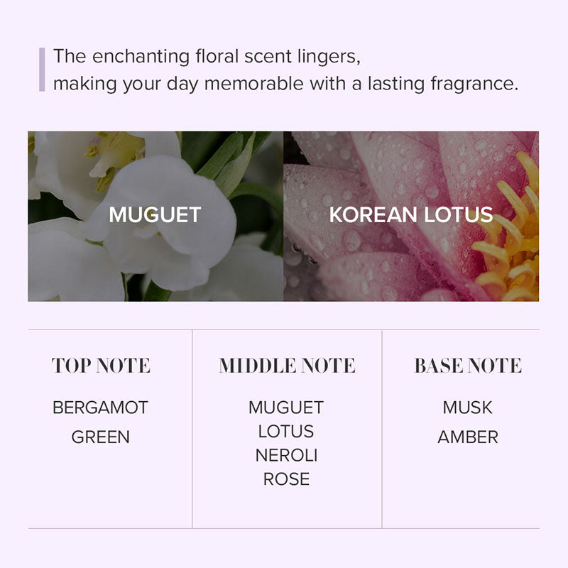 Seoul Edition Hand Cream Trio Set