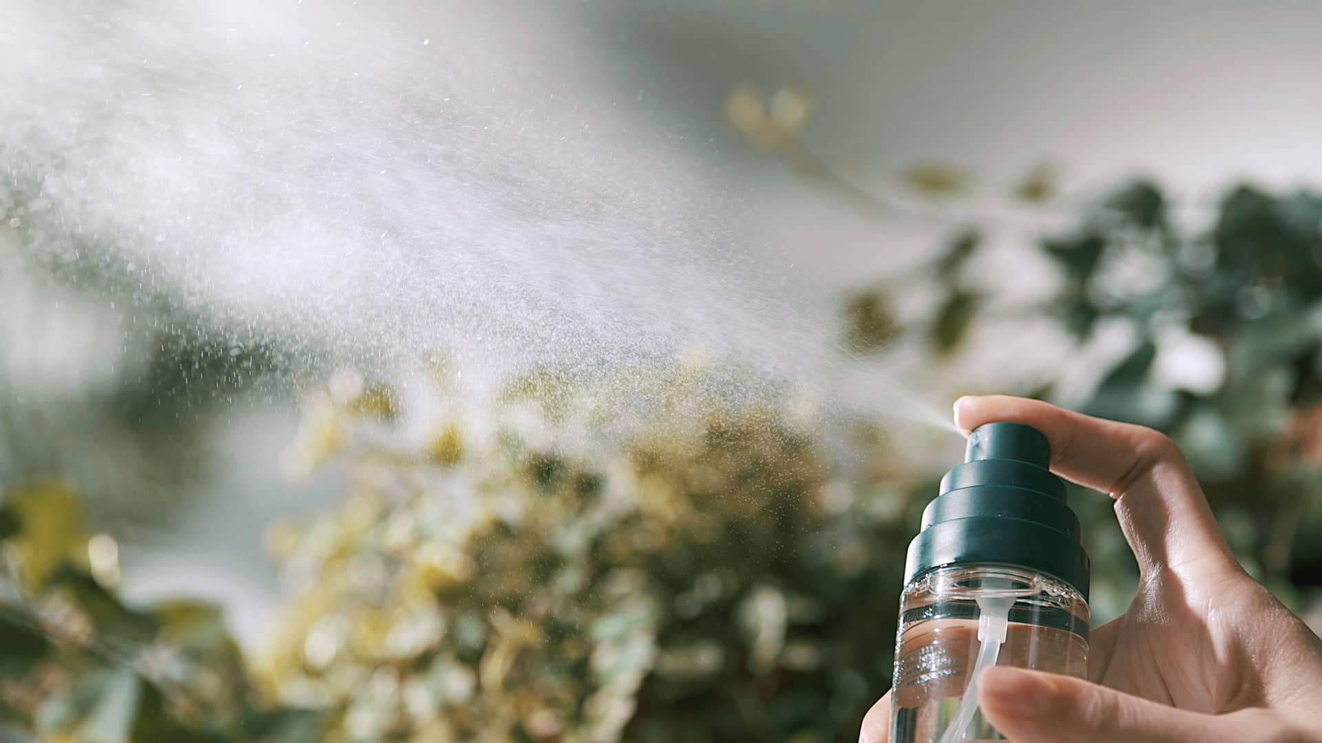 What are face mists?