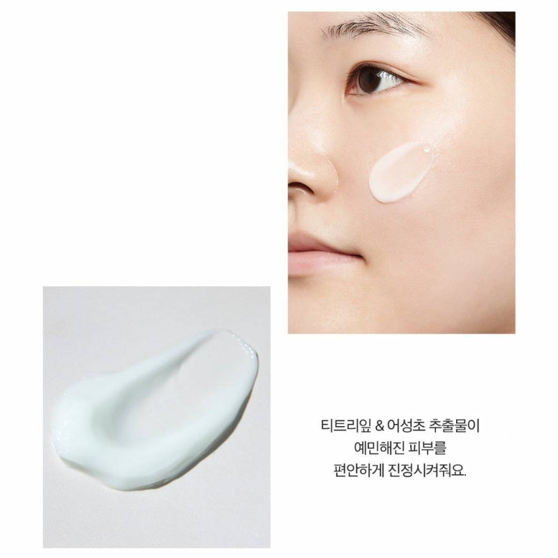 Real Barrier Control-T Sebomide Cream - Korean-Skincare